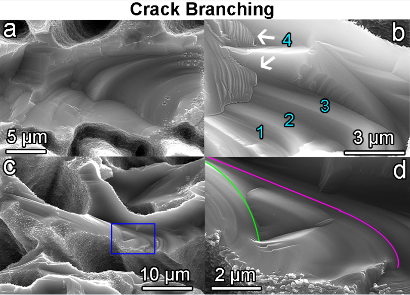 1603868398605955.png 77.png